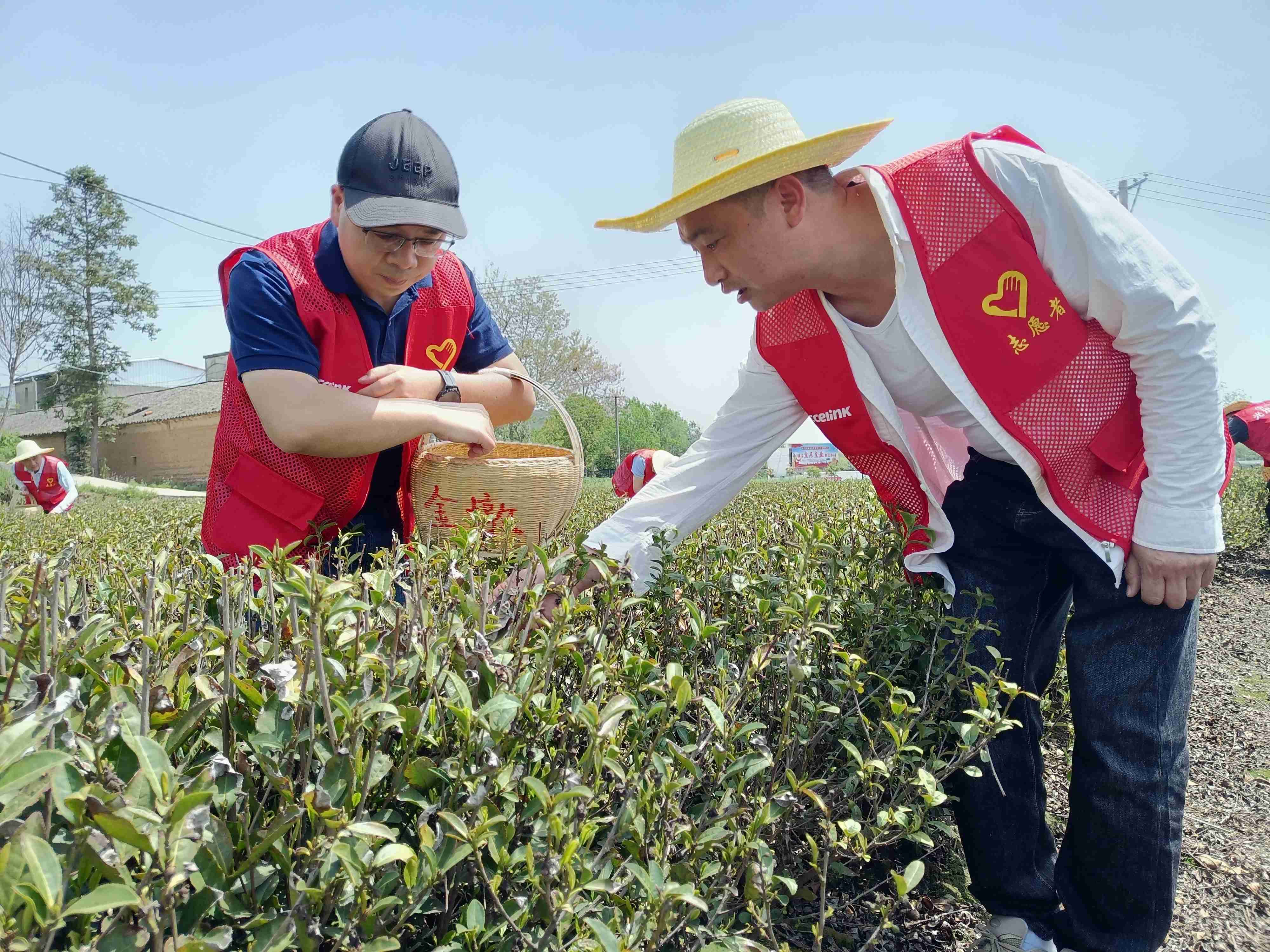 Z6尊龙·凯时(中国)-官方网站